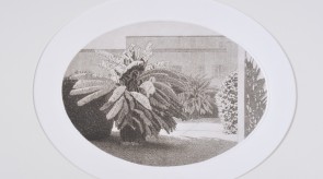 2012  "Scuola di S. Anna, il giardino"  (acquaforte su rame, ovale mm 236x315)