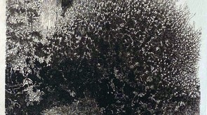 2020  "San Giuliano, il fosso dei Mulini"  (acquaforte su rame mm 260x205)