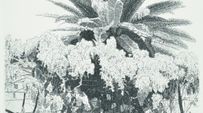 2006  "Palma e glicine"  (acquaforte su rame mm 308x296)
