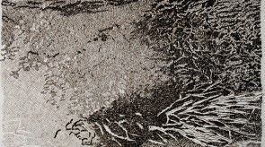 1983  "Fosso"  (acquaforte su rame mm 102x151)